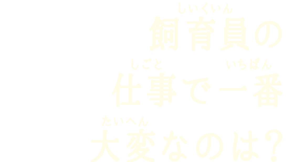 飼育員の仕事で一番大変なのは？