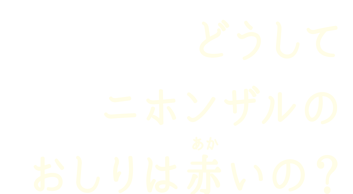 どうしてニホンザルのおしりは赤いの 九十九島動植物園森きらら Qa なぜなぜ ワクワク Qjukushima パールシーリゾート