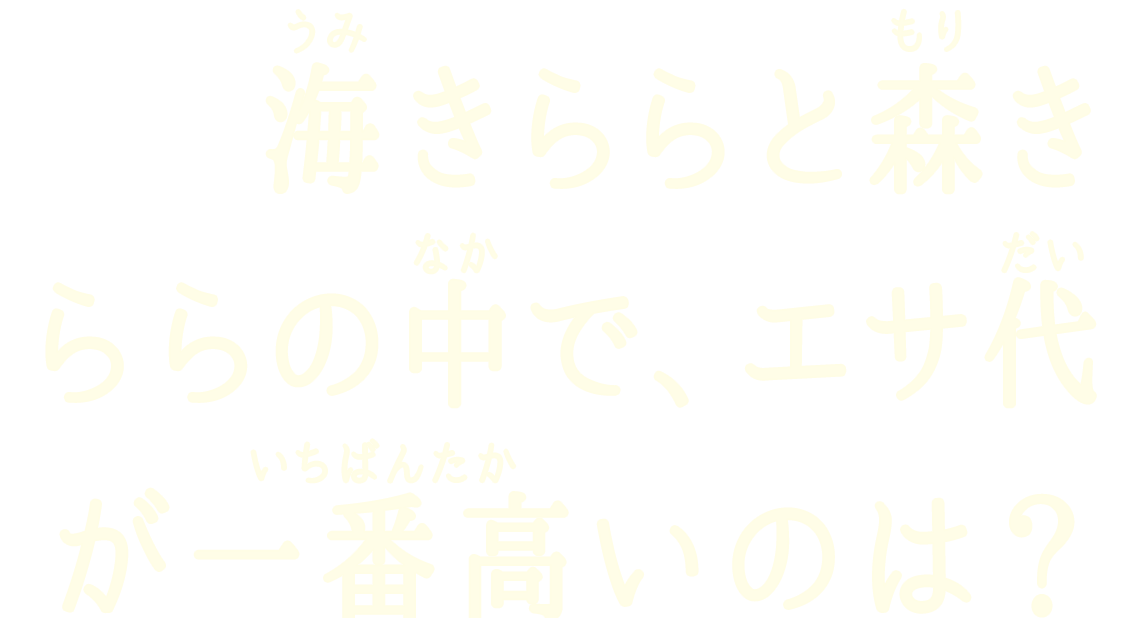 海きららと森きららの中で、エサ代が一番高いのは？