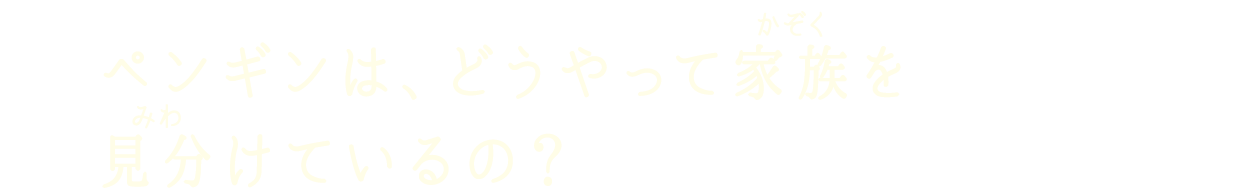ペンギンは どうやって家族を見分けているの みんなのq A Qa なぜなぜ ワクワク Qjukushima パールシーリゾート ペンギンは どうやって家族を見分けているの みんなのq A Qa なぜなぜ ワクワク Qjukushima パールシーリゾート