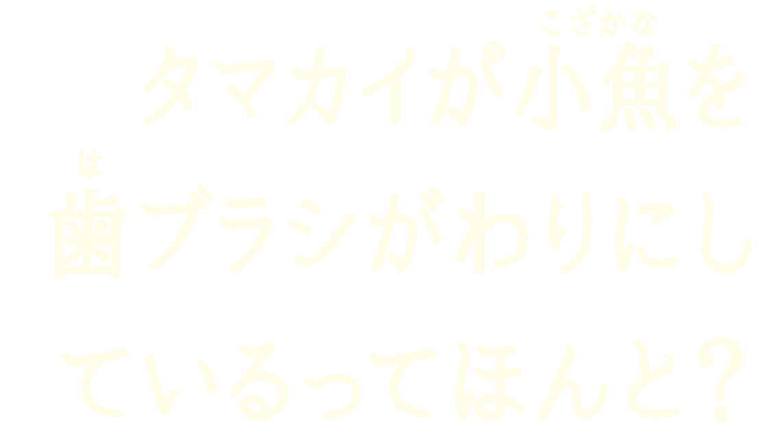 タマカイが小魚を歯ブラシがわりにしているってほんと？