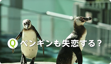 なぜなぜ？わくわく！九十九島パールシーリゾート 九十九島動植物園 森きらら